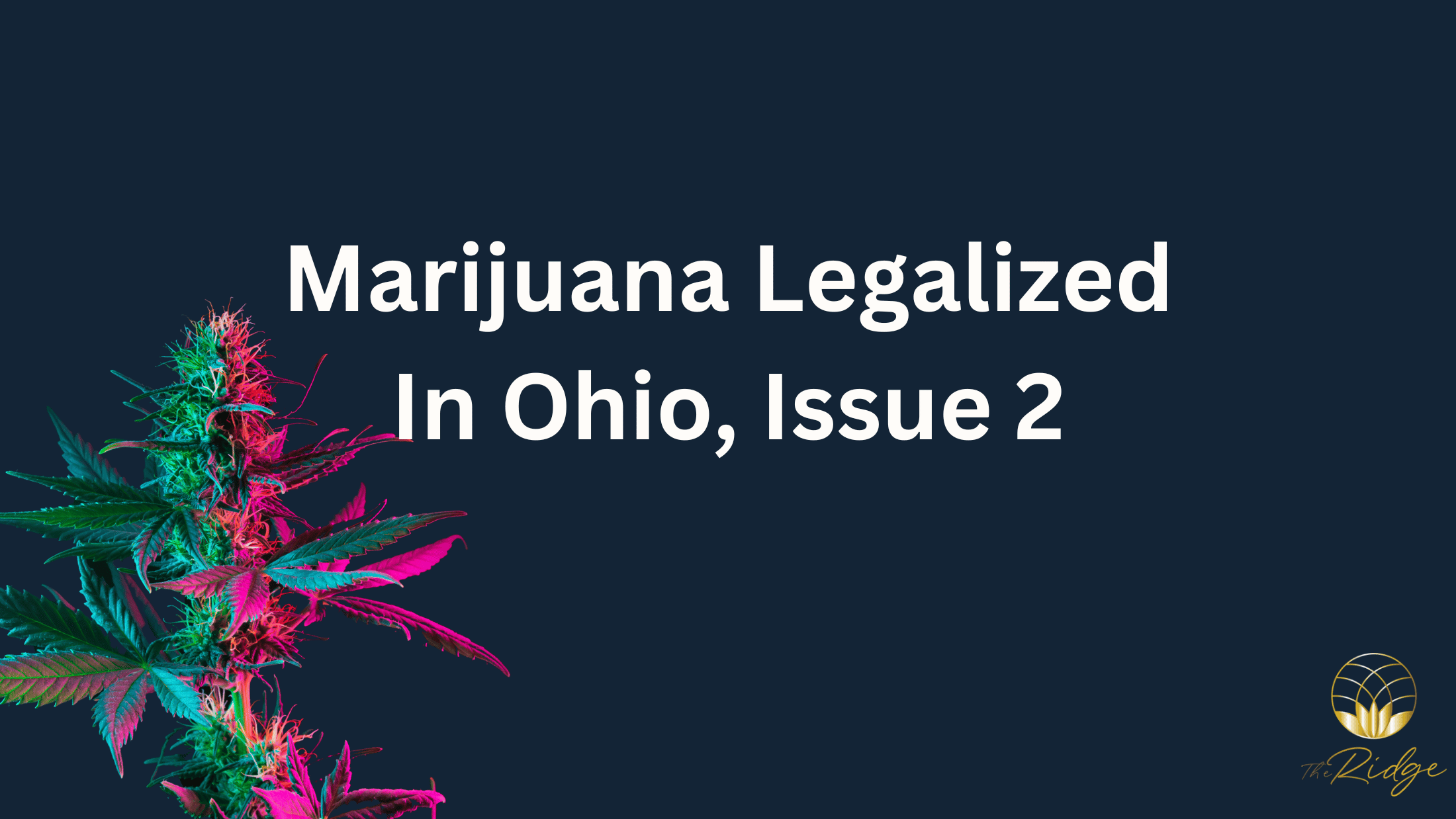 Marijuana Legalized In Ohio, Issue 2 Marijuana Legalized In Ohio, Issue 2