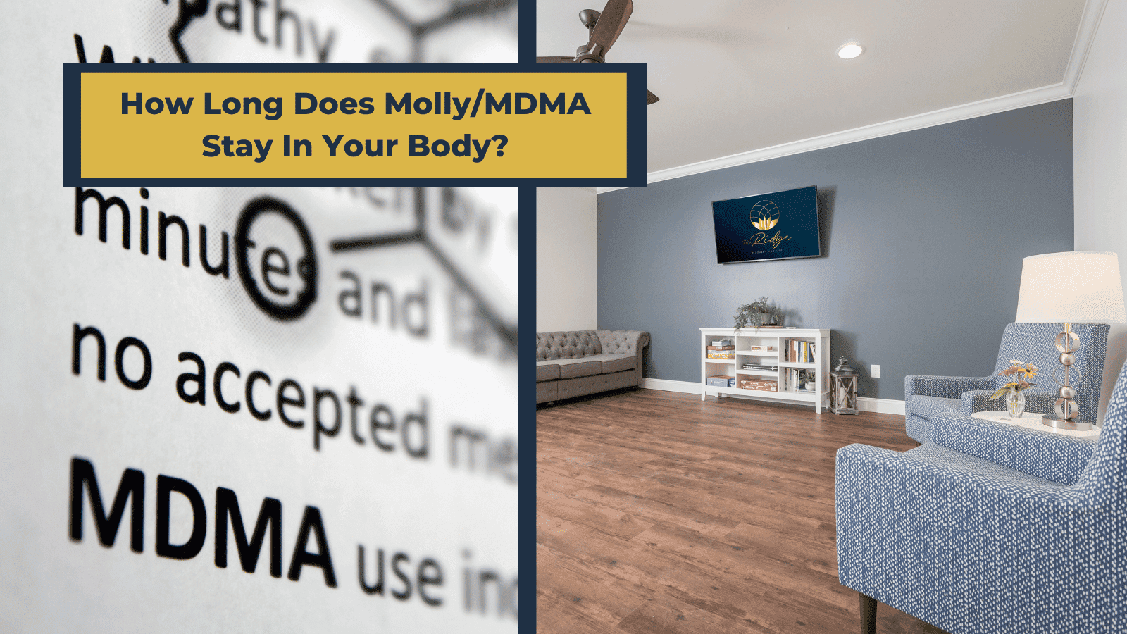 How Long Does Molly/MDMA Stay In Your Body