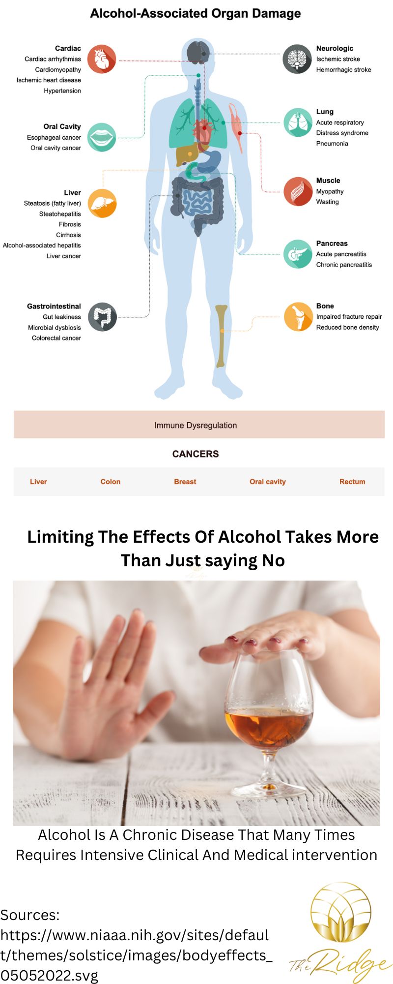 Effects Of Alcohol On The Body