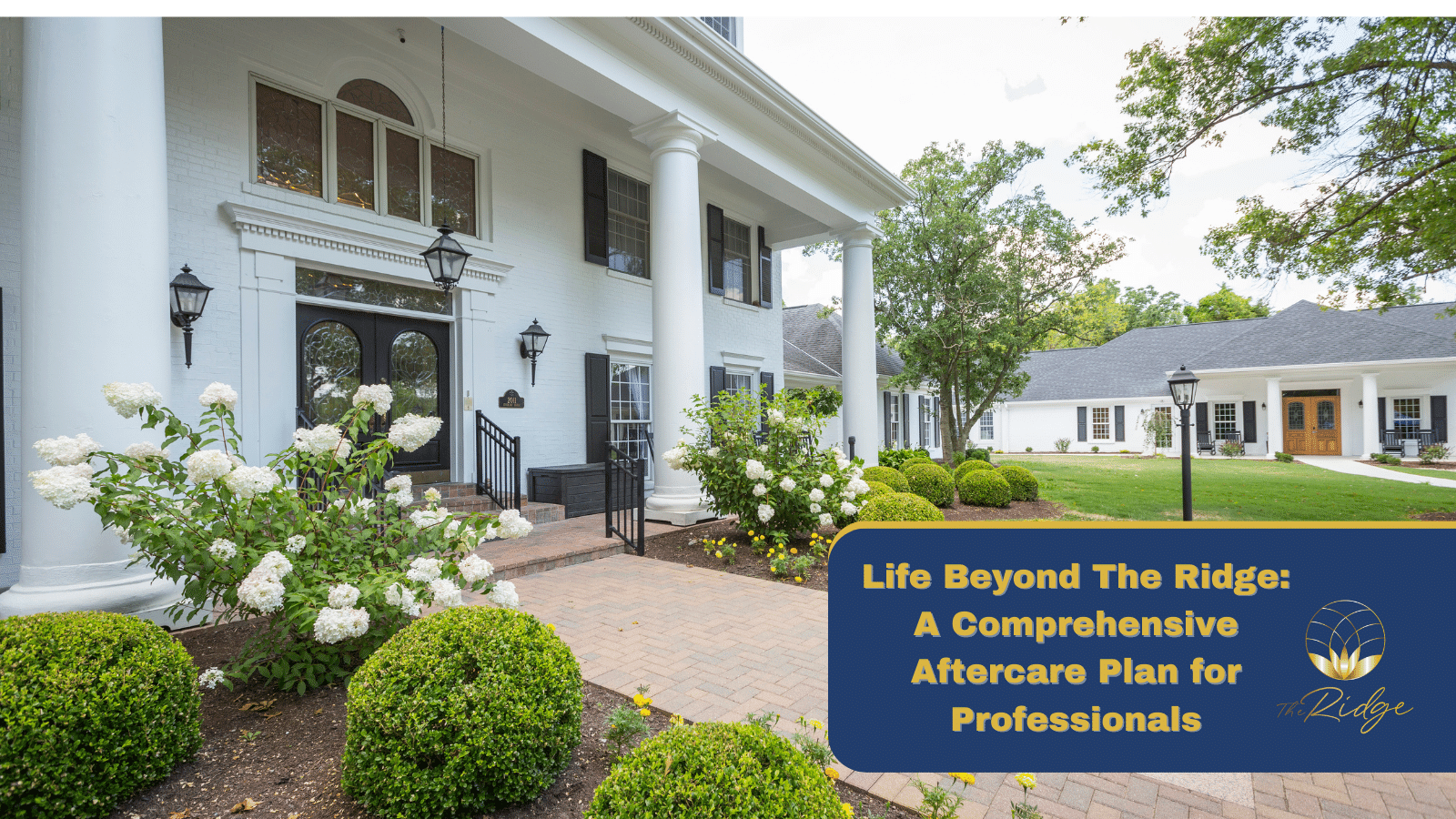 Life Beyond The Ridge: A Comprehensive Aftercare Plan for Professionals