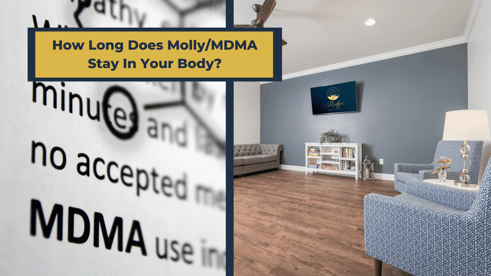 How Long Does Molly/MDMA Stay In Your Body?