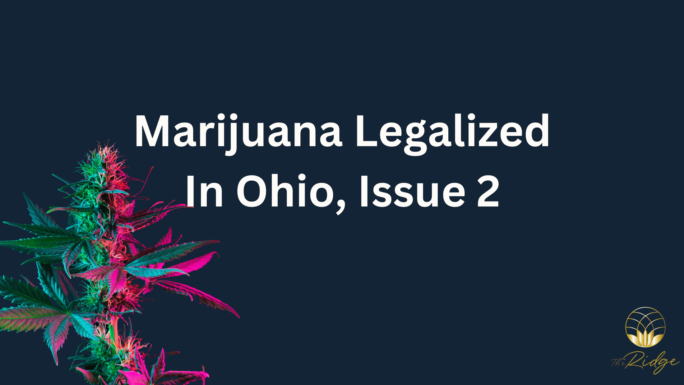 Ohio Legalizes Marijuana: Issue 2