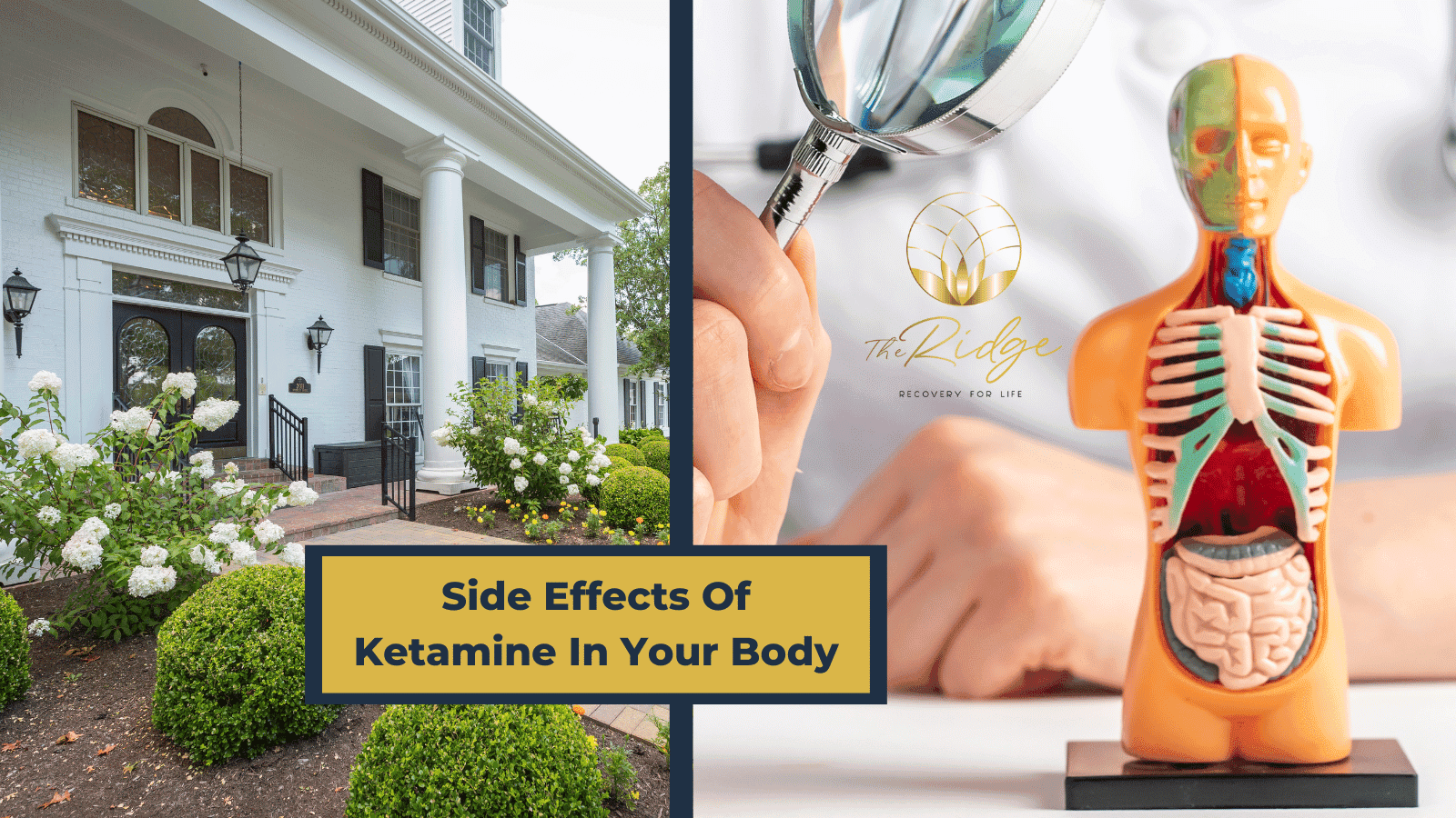 Side Effects Of Ketamine In Your Body