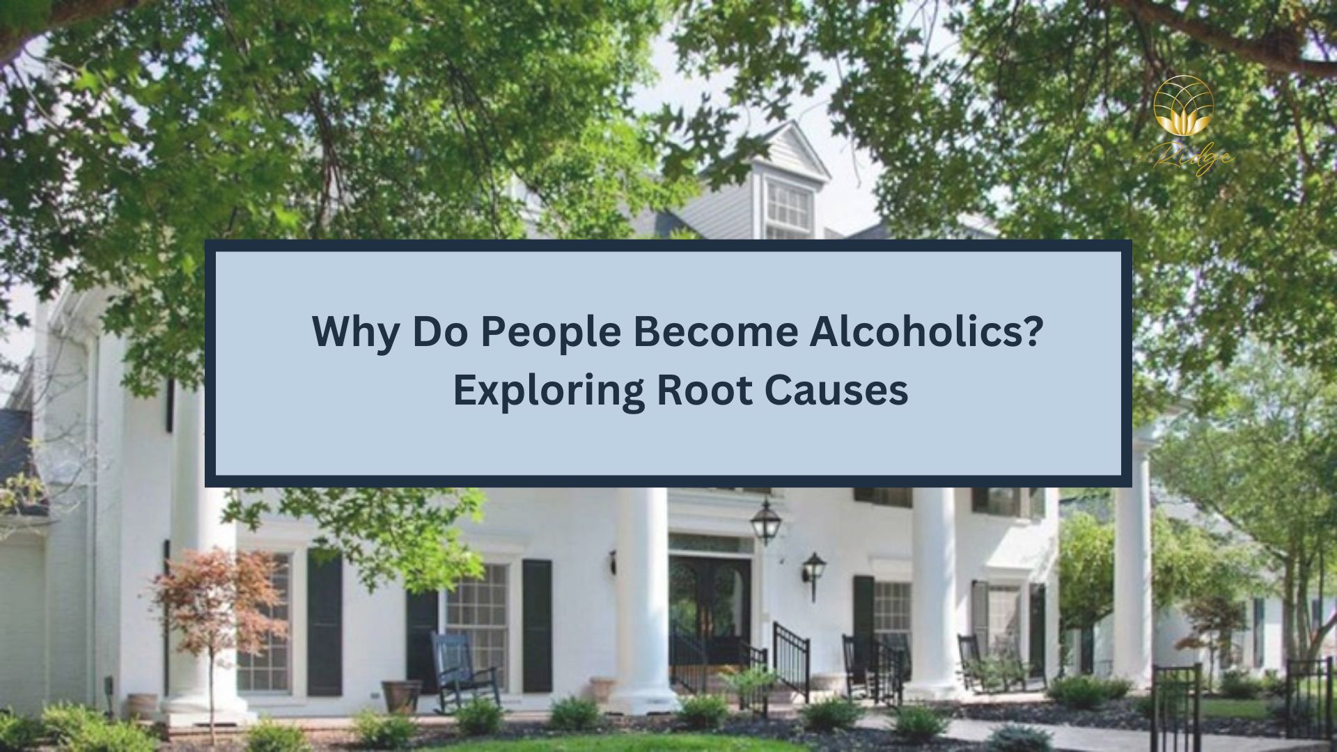 Why Do People Become Alcoholics? Exploring Root Causes